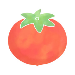 水彩風のシンプルなトマトのイラスト