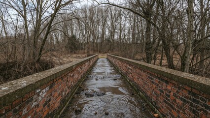 Fototapeta premium Detailed shot of an aged brick footbridge featuring a distressed wall, crossing a muddy trail along a river to a woodland clearing in the late winter season.