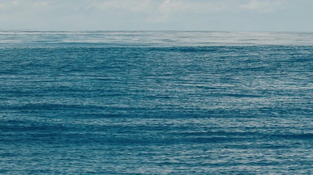 Big ocean swell. Waves roll in the open calm and windless sea