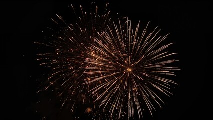 Night sky illuminated with vibrant fireworks for party events
