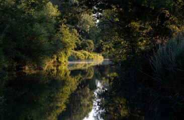 Serene river scene with lush reflections.