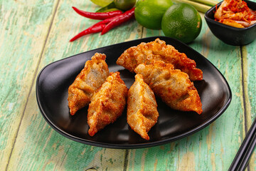 Asian fried stuffed dumplings gyoza