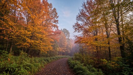 Fototapeta premium Misty dawn over a vibrant autumn forest, part of nature series
