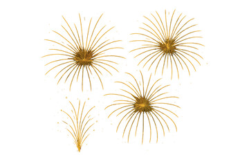 Fototapeta premium Golden fireworks burst collection vector on dark background, sparkling pyrotechnic rockets, glitter explosion, festive night sky celebration for New Year and Independence Day