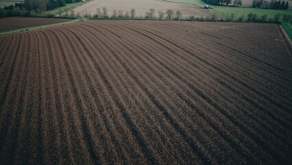 Fototapeta premium Birdâ€™s-eye perspective of furrowed farmland arranged for planting and flourishing with healthy crops on fertile ground