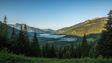 Tranquil summer scenery overlooking the valley