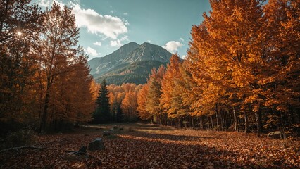 Fototapeta premium Colorful foliage during the fall season in nature
