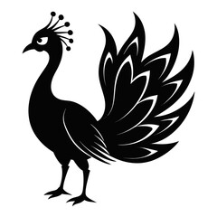 Fototapeta premium Peacock Silhouette with Spread Tail