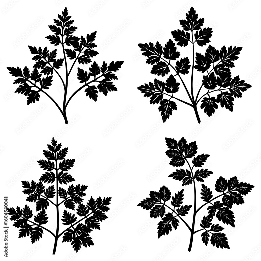 Aufkleber Four black leaf sprigs with intricate leaf patterns arranged on a white background in a symmetrical design