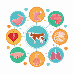 Anatomical vector set of cow organs. Icons of bovine liver, heart, lungs, brain, and stomach for educational use.