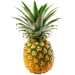 Close-up of a pineapple