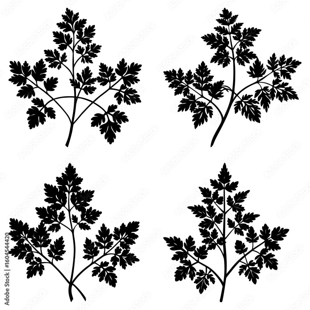 Poster four black parsley sprigs arranged in a square pattern on a white background creating a simple desig