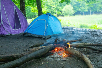 Obraz premium Campfire in the forest. Armenia