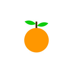 vector illustration of an orange