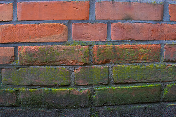 Aged Brick Wall with Moss and Weathering