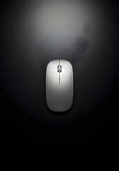 a mouse