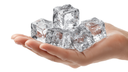 Female Hand Holding Ice Cubes isolated on white background