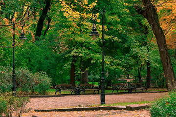autumn park landscaped place paved track for walking with lanterns and benches city square...