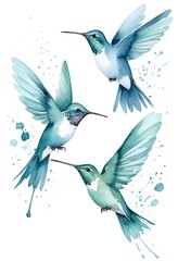 Obraz premium Watercolor Hummingbirds in Flight on White Background. Ideal for use in themed designs, stationery, fabric prints, wall art