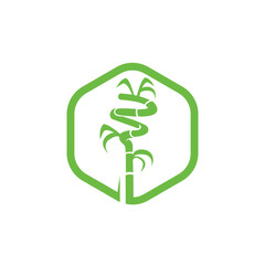 bamboo vector abstract modern logo