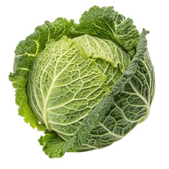 Savoy cabbage isolated on a white background showcasing its textured leaves and vibrant green color