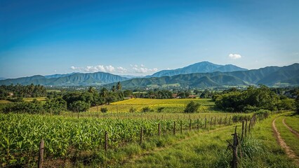 Beautiful mountain farm surrounded by nature's greenery