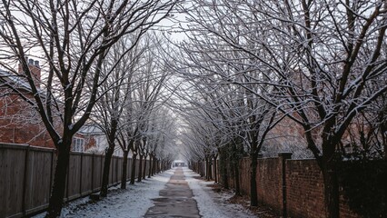 An icy early morning in a small passage, trees covered in white frost