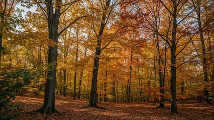 Obraz premium Falling leaves dancing in the wind