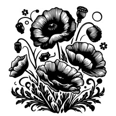 Black and White Poppy Floral Illustration