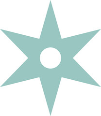 Teal ninja shuriken icon in flat style.