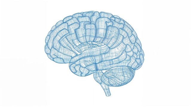 AI-generated medical illustration depicting the structure of the human brain