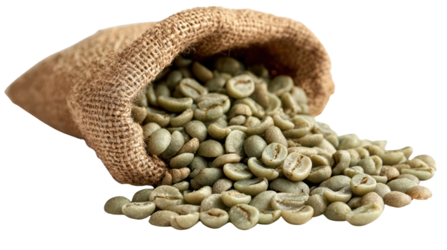 Green coffee beans spilling from burlap sack on white background.