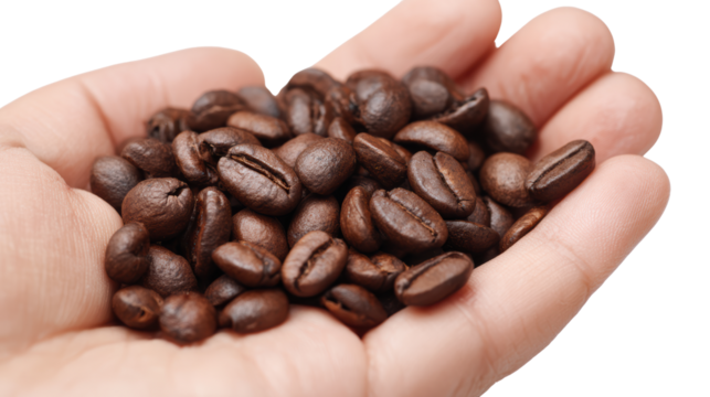 Hand holding freshly roasted coffee beans, perfect for coffee lovers.