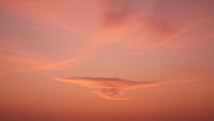 Obraz premium Magnificent sunset horizon featuring clouds