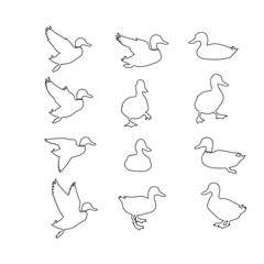 Set of duck outline icons in various poses