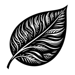 Obraz premium Intricate Black and White Leaf Design