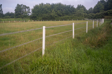 White fence dividing green fields under cloudy sky in rural landscape