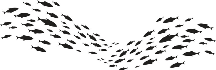 A large fish swims with a school of small fish swimming aquatic