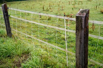Electric fence protecting lush green meadow in countryside