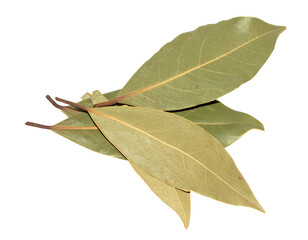 dried bay leaves isolated on transparent background, png