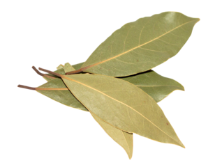 dried bay leaves isolated on transparent background, png