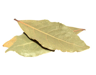 dried bay leaves isolated on transparent background, png