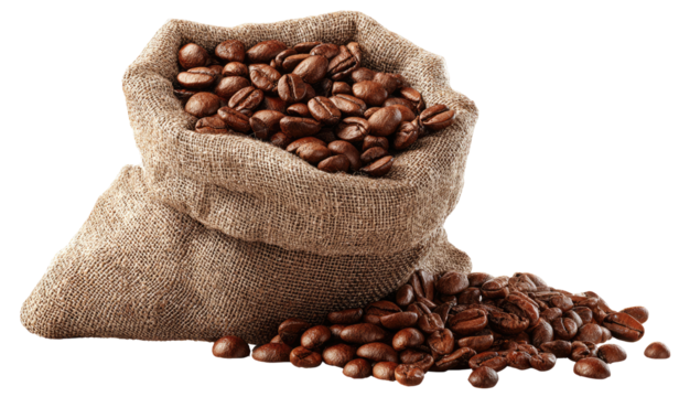 Coffee beans in a burlap sack