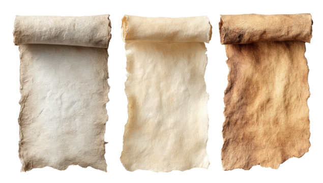 Three antique scrolls of varying shades of parchment (1)