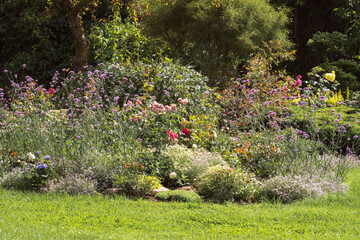 A large bed in the garden with various blooming flowers and plants on a sunny summer day.