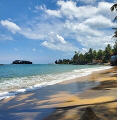 tropical beach with palm trees