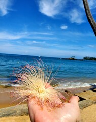 palm on the sea