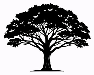 Fototapeta premium silhouette of tree