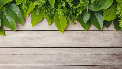 green leaves on a wooden wall
