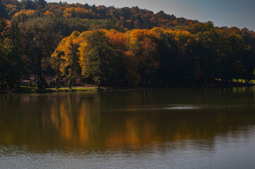 beautiful landscape with lake and autumn trees